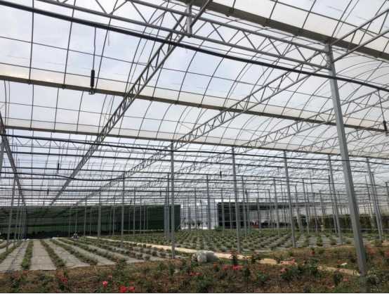 建設(shè)溫室大棚的技巧你知道哪些呢？